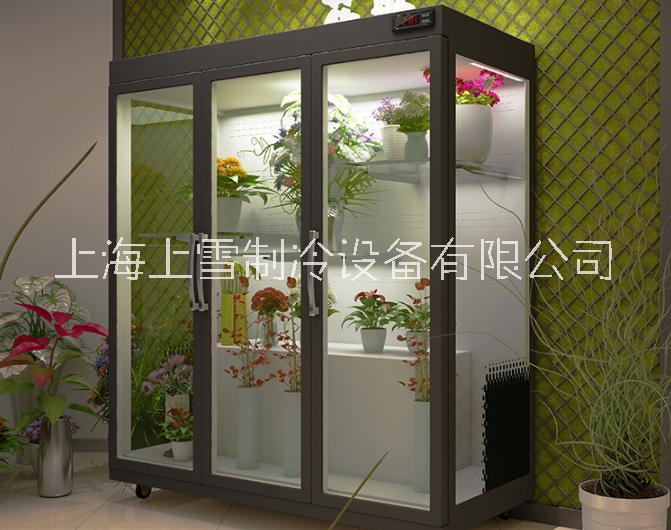 批发风冷鲜花展示柜 玻璃拉门鲜花柜 鲜花保鲜冰柜厂家