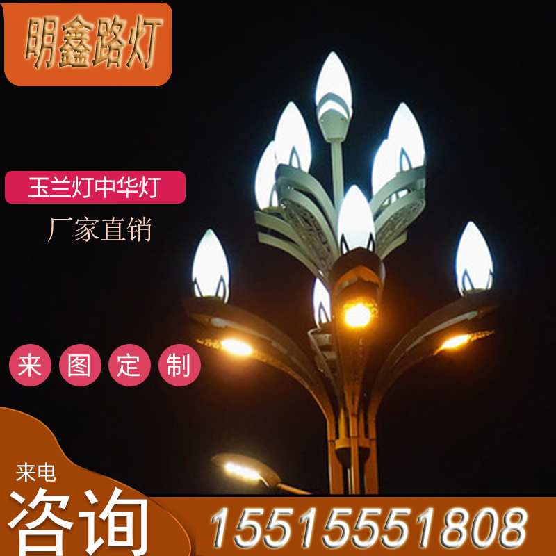 郑州市户外LED市政景观灯公园庭院广场厂家户外LED市政景观灯公园庭院广场高杆灯厂家定制路灯玉兰灯中华灯