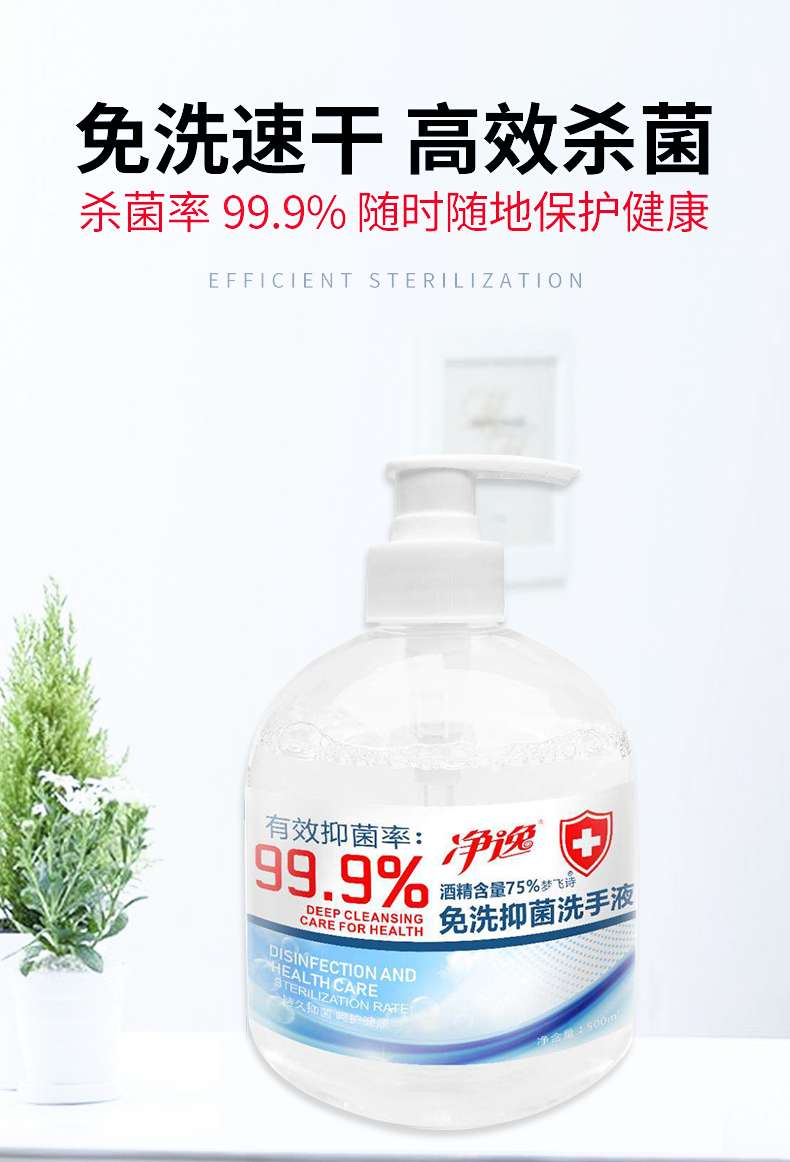 净逸免洗洗手液500ml 净逸免洗除菌洗手液500ml 净逸佳品免洗除菌洗手液500ml家庭必备男女适用图片