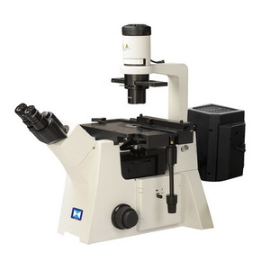 研究型荧光显微镜 广东荧光显微镜