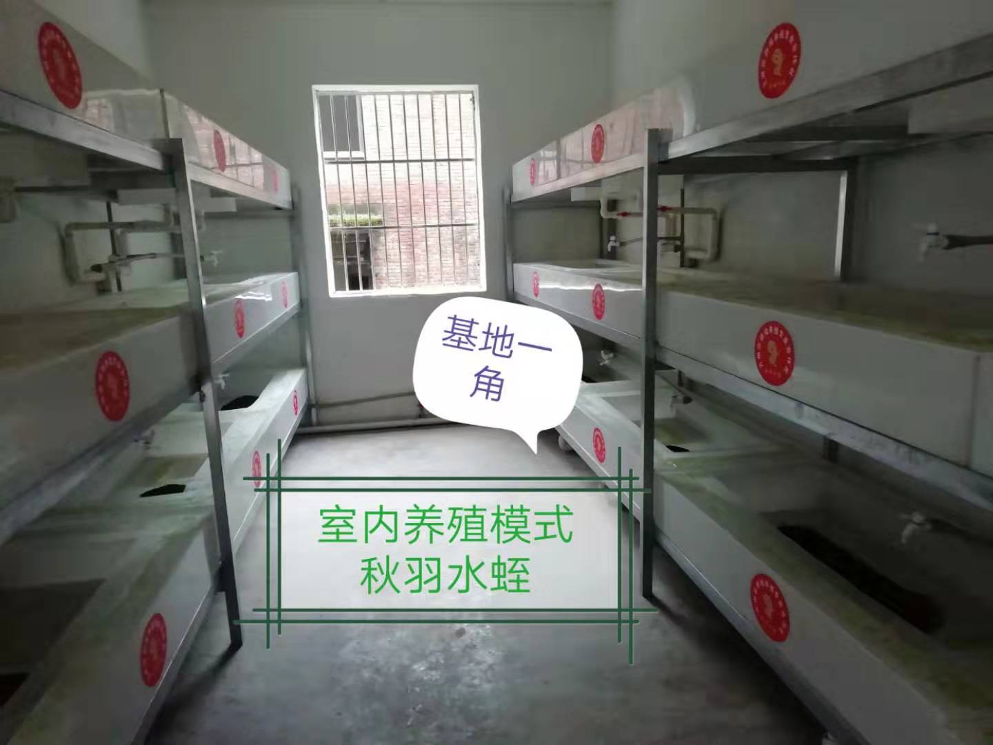 湖南医蛭