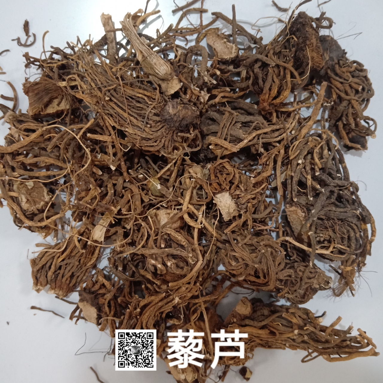 供应藜芦-价格-哪里买得到【亳州市奇弘堂药业有限公司】