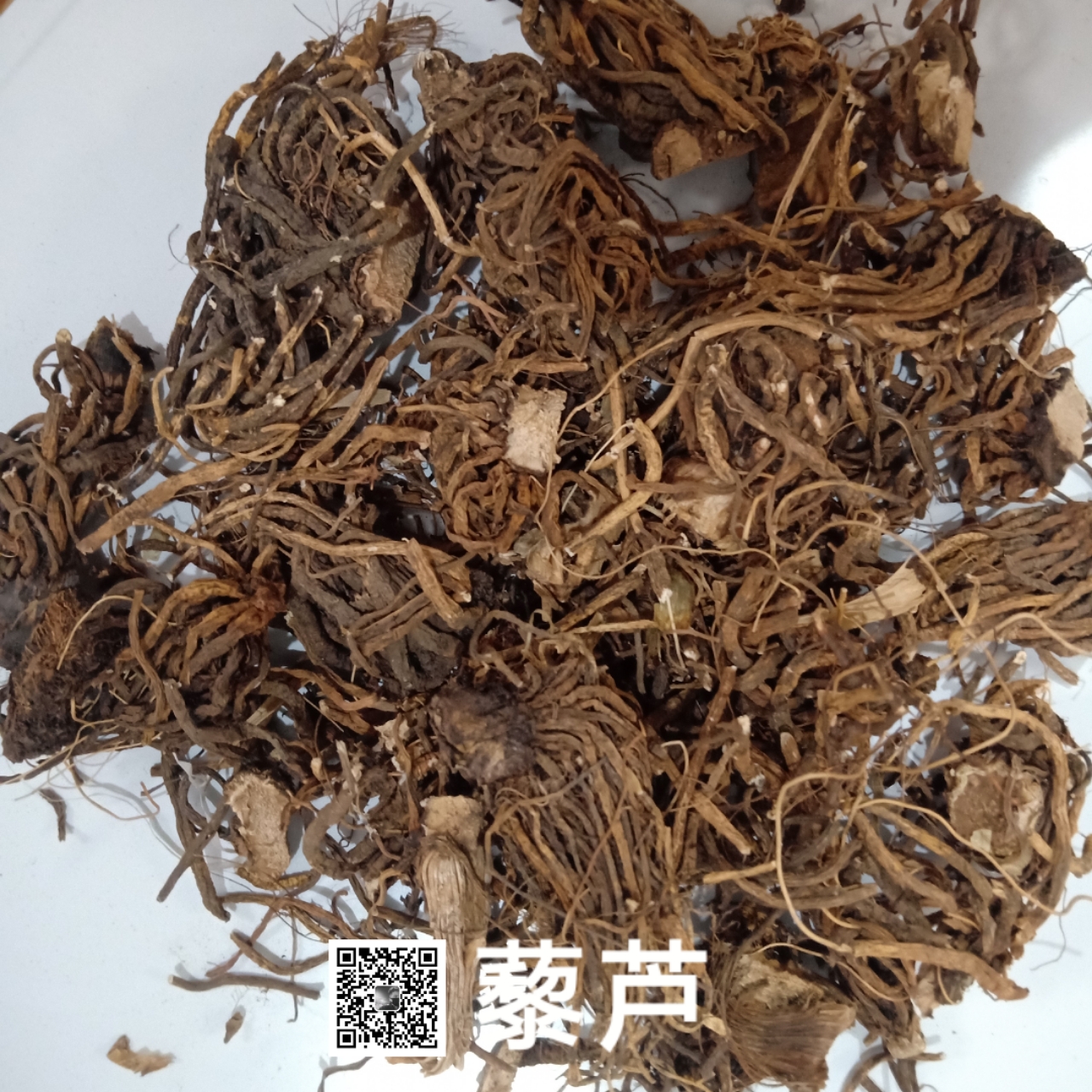 供应藜芦-价格-哪里买得到【亳州市奇弘堂药业有限公司】