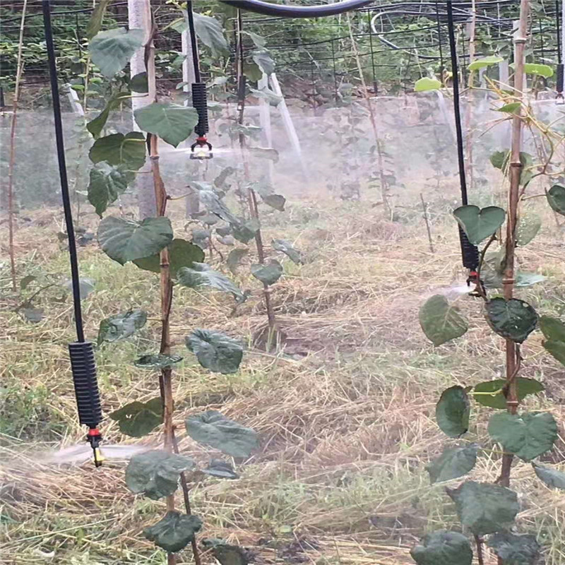 贵州毕节市果树滴灌设备 猕猴桃种植喷灌管 果园微喷管图片
