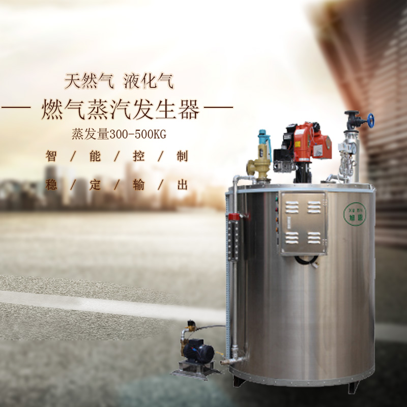 广州市天然气蒸汽发生器厂家自动天然气蒸汽发生器制造商