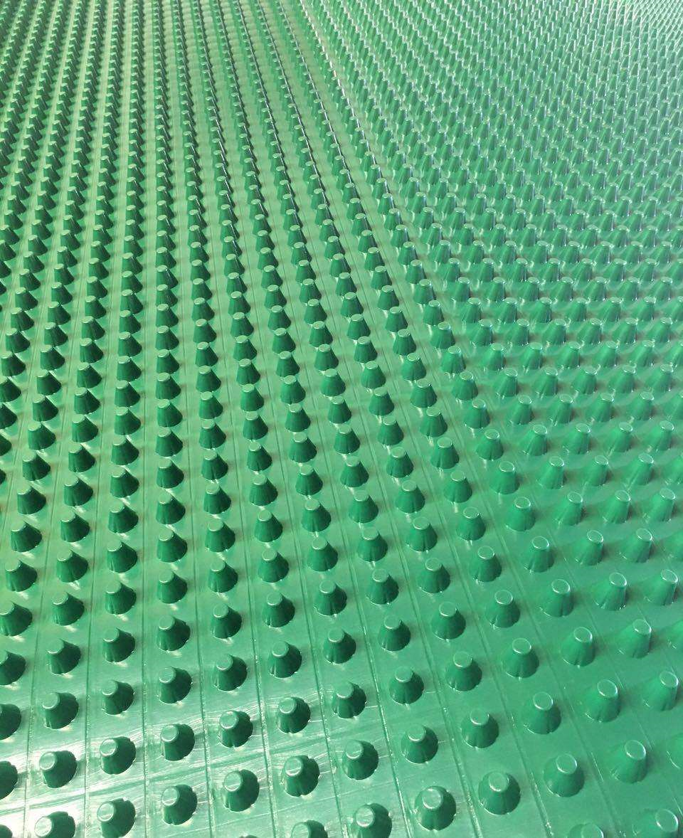 优质卷材板 卷材排水板供应 广西农业用品厂家直销