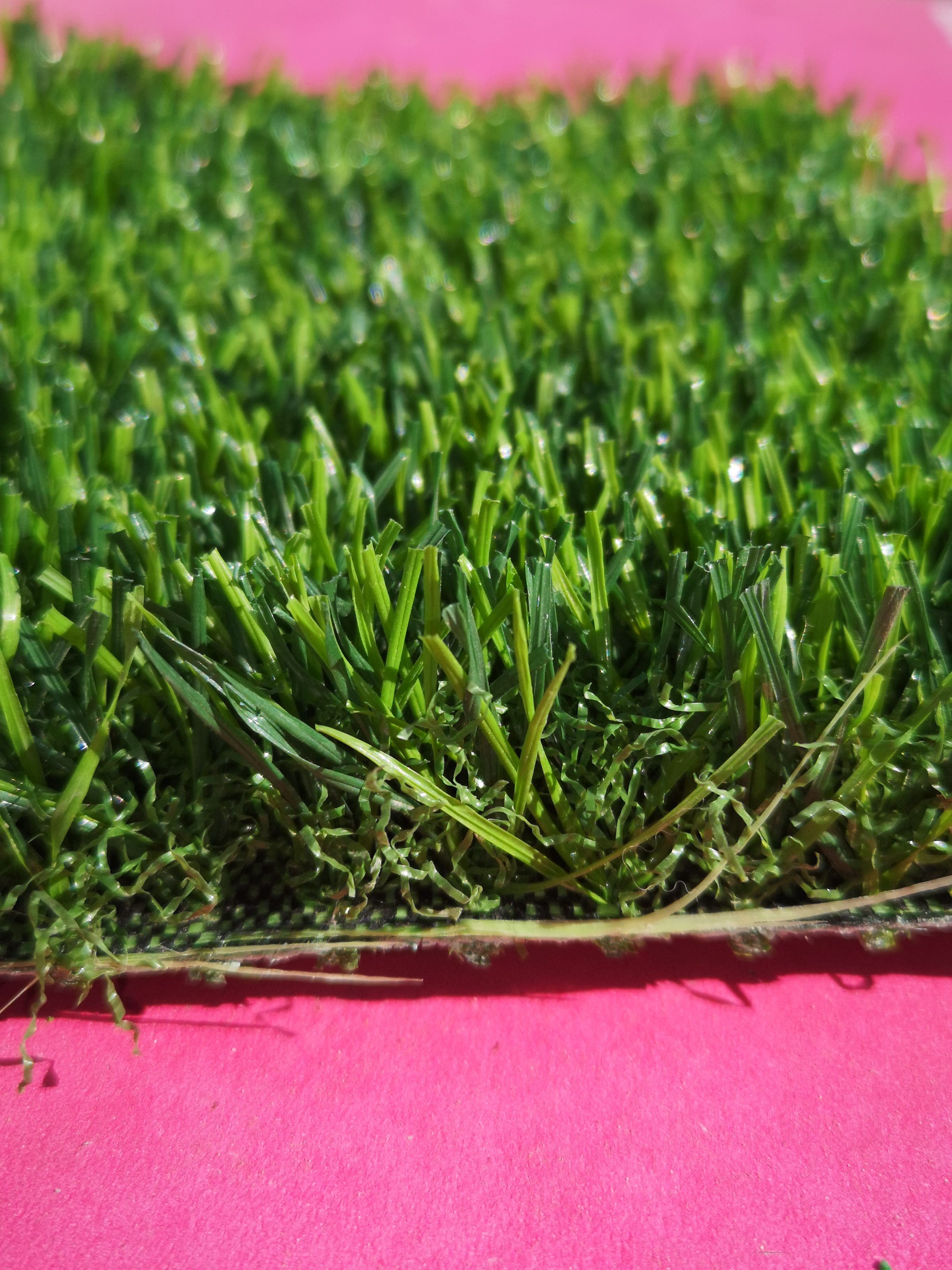 青叶牌仿真草坪QY155型草坪园林绿化草皮图片
