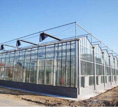 玻璃温室  玻璃温室厂家直销  供应玻璃温室图片