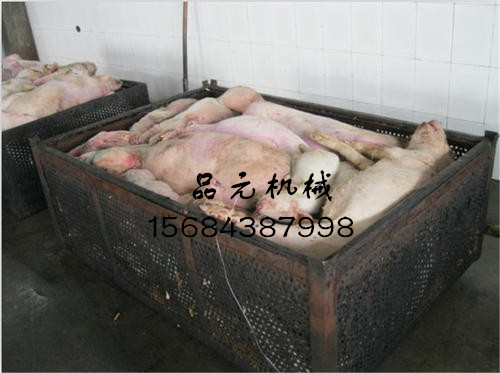 300kg病死猪鸡鸭鹅尸体无害化处理设备生产厂家