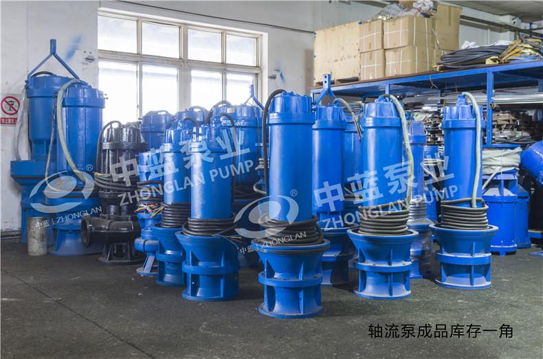天津ZLB轴流泵现货供应工厂发货批发