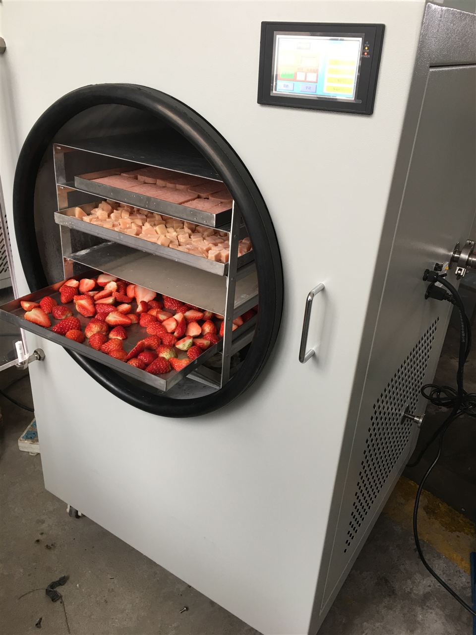 果蔬冻干机，草莓冻干机厂家批发