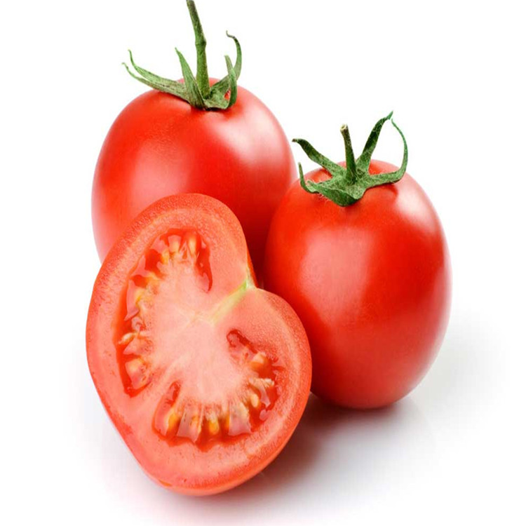 西安市番茄红素厂家