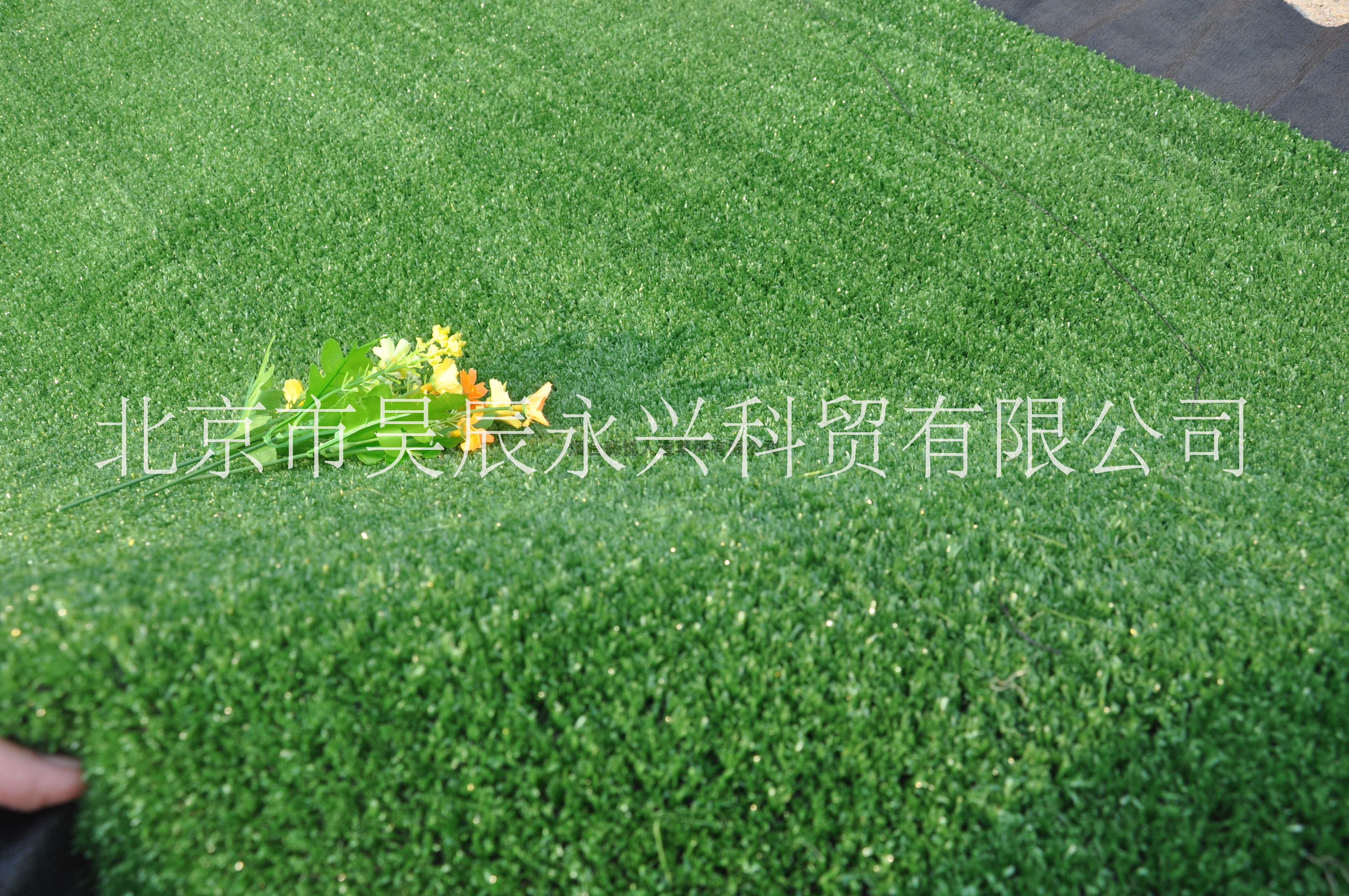 供应北京草坪物美价廉 优质人造草坪 体育场草坪