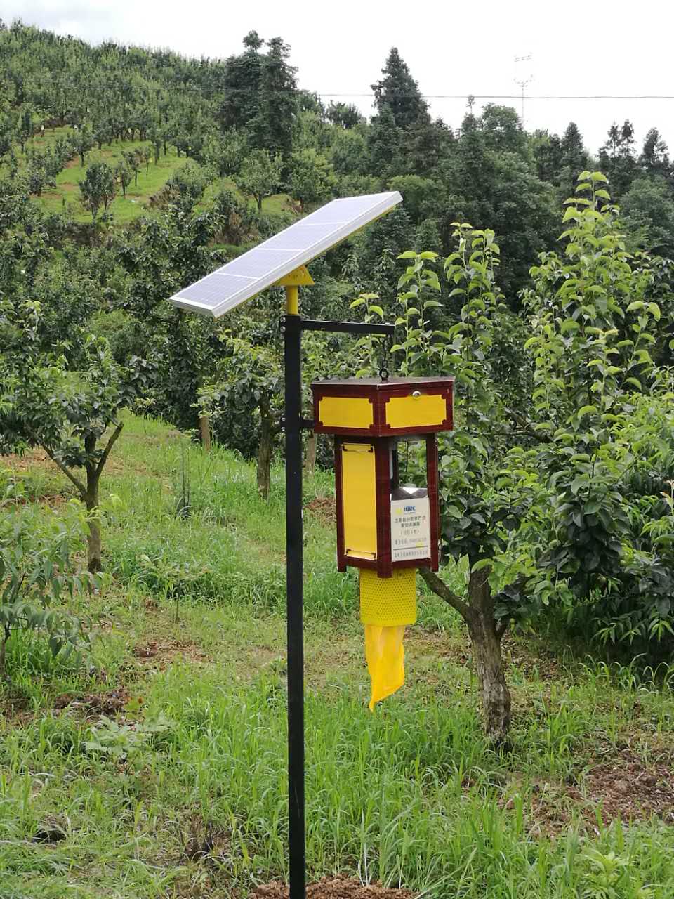 厂家直销太阳能害虫诱捕器 多功能杀虫灯