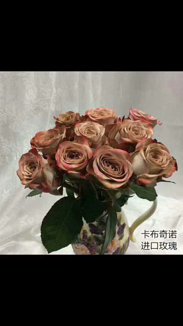 卡布奇诺玫瑰花报价  卡布奇诺玫瑰花供应商 云南卡布奇诺玫瑰花