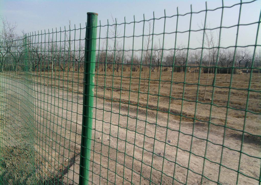 绿色养殖铁丝网A 湖南绿色养殖铁丝网A绿色养殖铁丝网厂家 荷兰网护栏