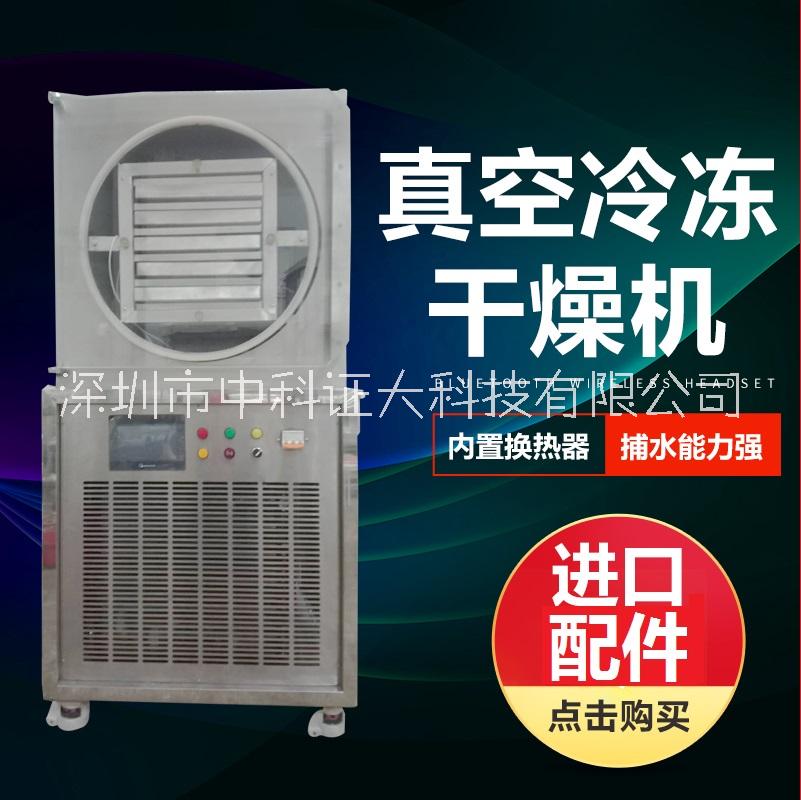 小型真空冷冻干燥机厂家直销广东实验型低温真空冻干机供应商