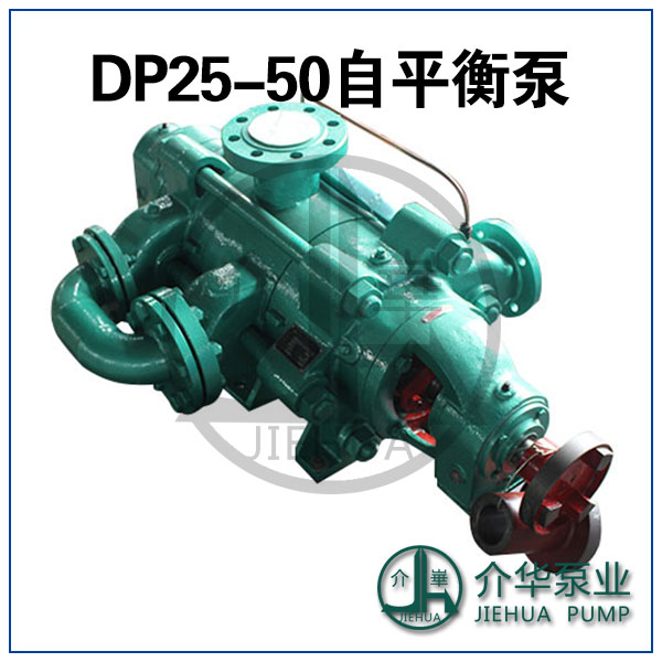 DP360-40X6 自平衡泵 无泄漏自平衡泵