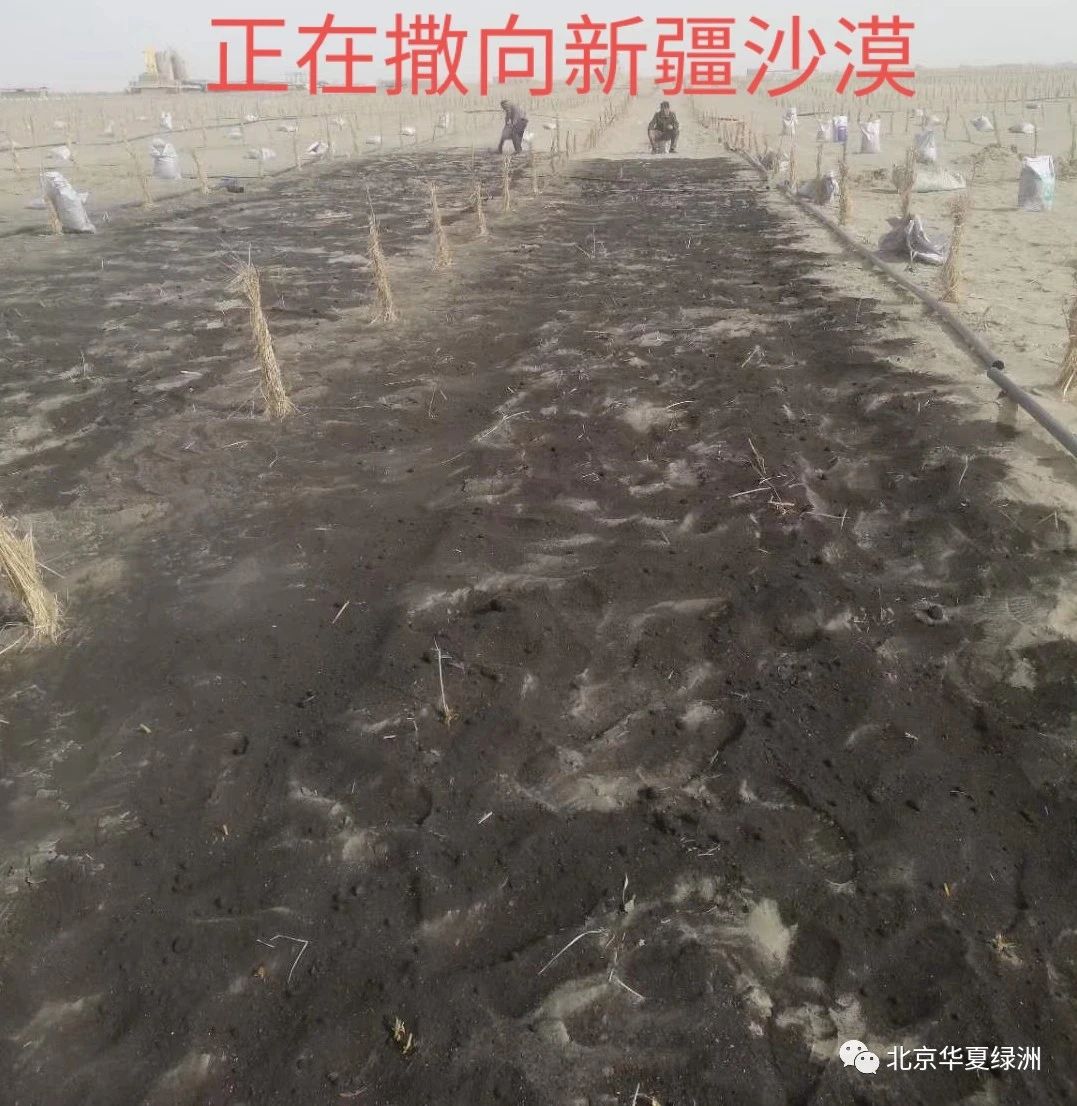 北京市中草药矿物质土壤调理剂公司厂家
