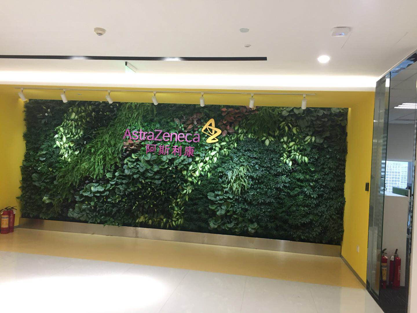 公司前台绿植背景墙/北京绿植背景墙公司