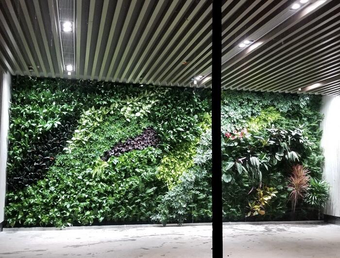 北京展厅植物墙制作 绿植花墙背景墙定制作