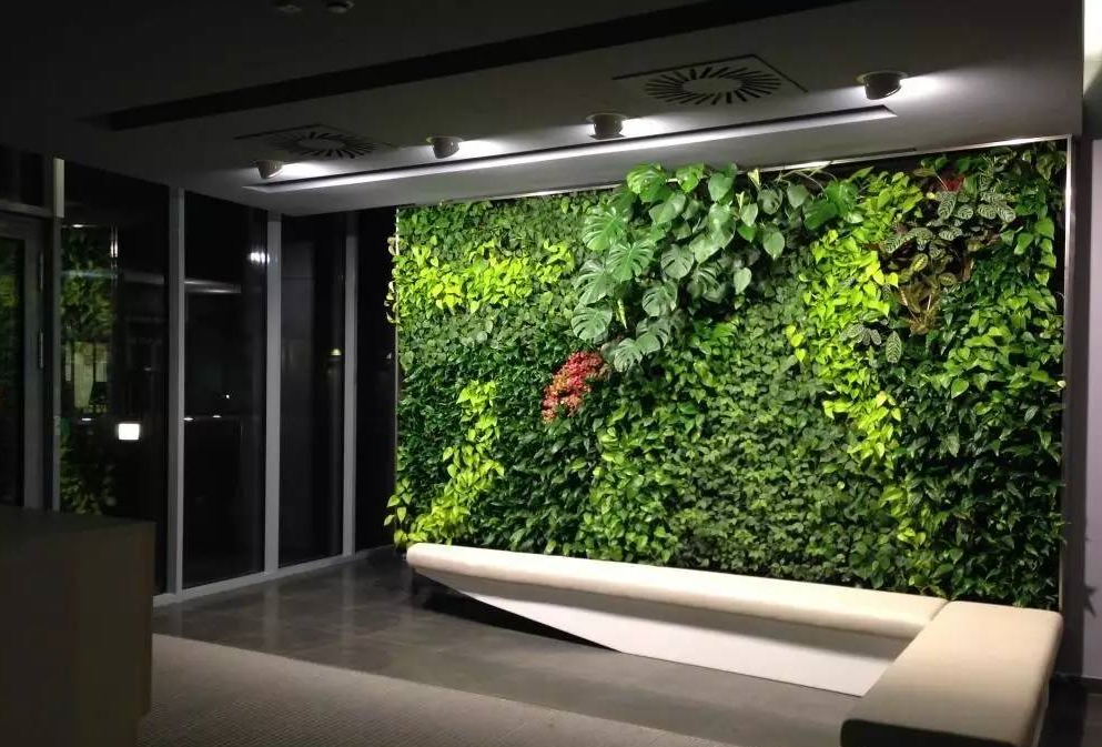 北京生态植物墙设计 北京室内生态植物墙制作 专业植物墙一站式服务