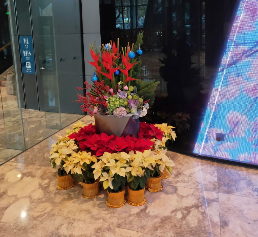 北京酒店鲜花租摆 酒店花卉租摆 植物租赁