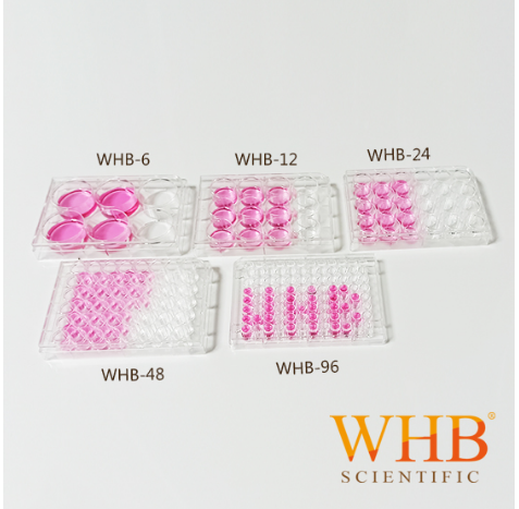 WHB-96-PD1  透明96孔培养板袋装  酶标板、微生物培养板 100个/箱