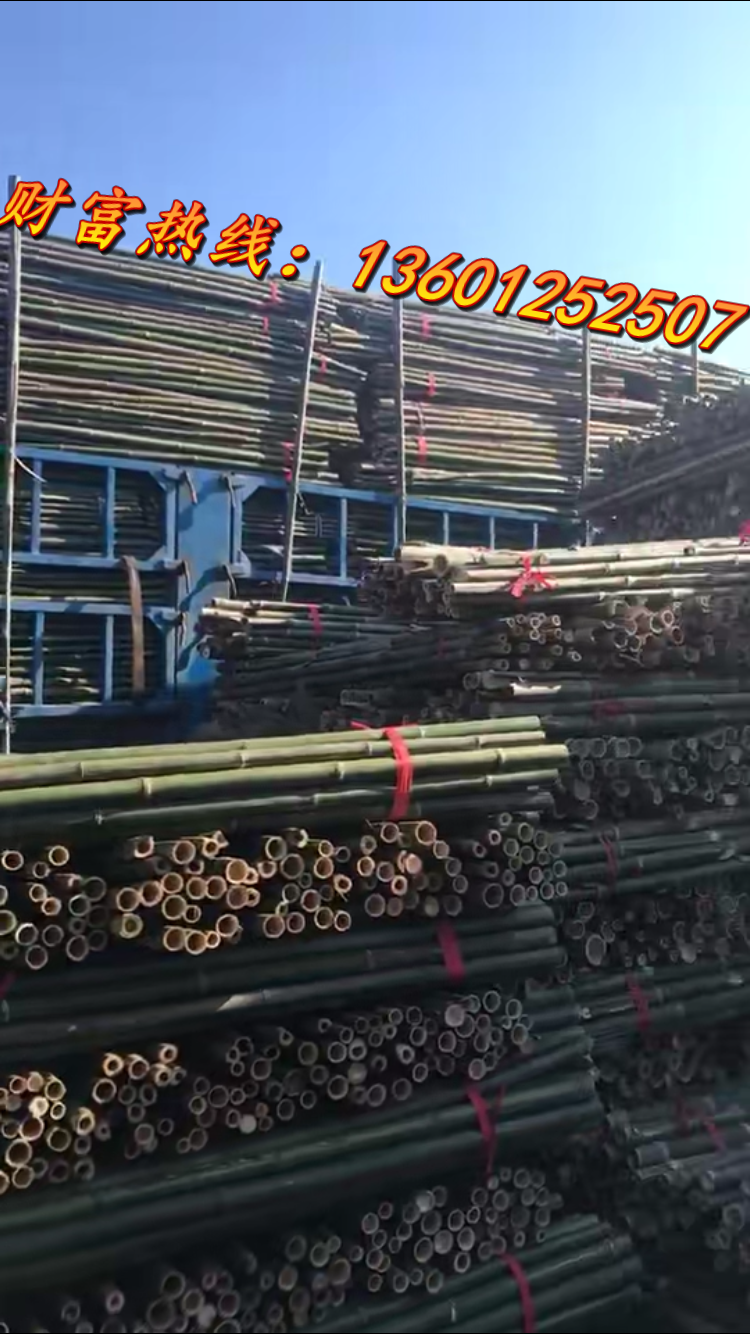 北京杉木杆厂家 北京杉木杆批发 绿化杆 顺义杉木杆出售