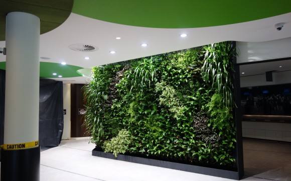 室内植物墙价格  室内植物墙哪家好 广东室内植物墙