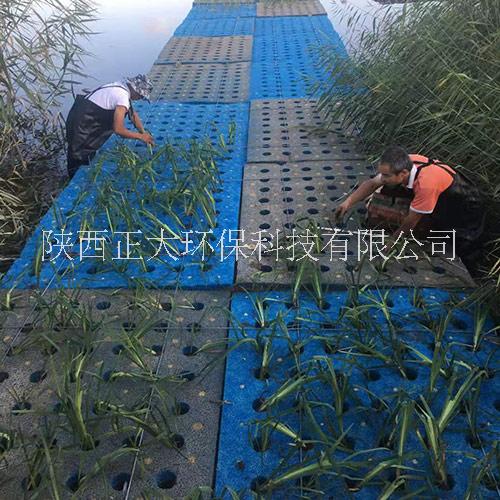 泰安湖泊水生态治理新型人工湿地图片