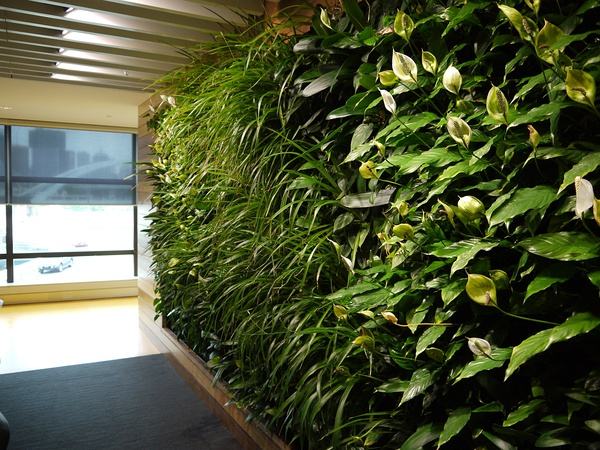 室内植物墙供应商 室内植物墙哪家好  广东室内植物墙