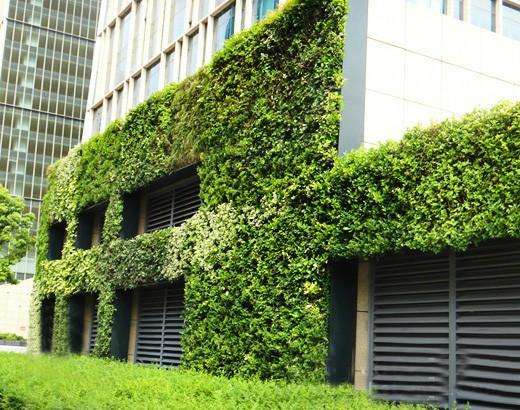 围挡绿化垃圾房绿化垂直绿化公司图片