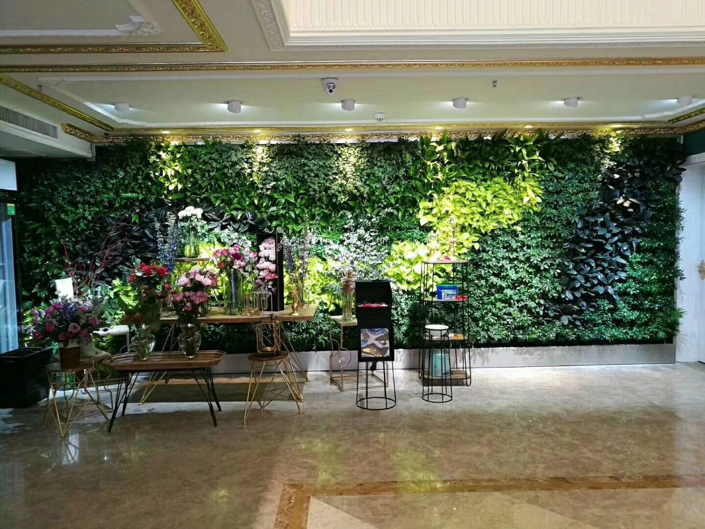 室内植物墙供应商室内植物墙供应商 室内植物墙哪家好  广东室内植物墙
