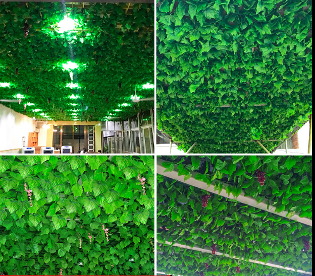 仿真植物墙价格 仿真植物墙供应商  广东仿真植物墙图片