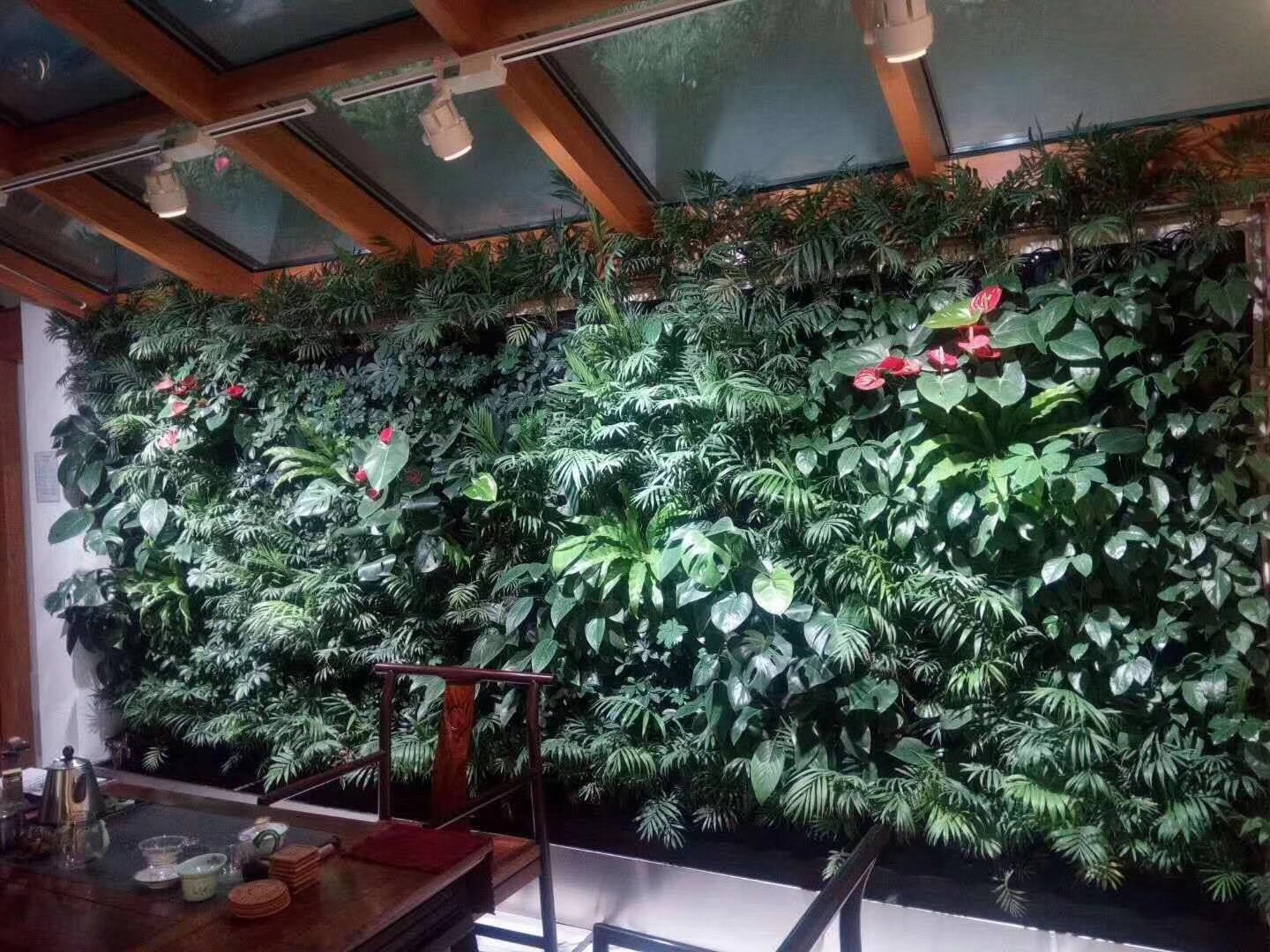 广东室内植物墙 室内植物墙供应商 室内植物墙哪家好