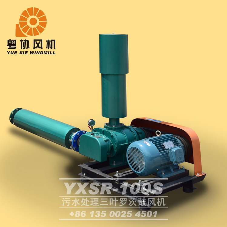 广东粤协牌YXSR-100S型三叶罗茨鼓风机污水池曝气净化降解风机