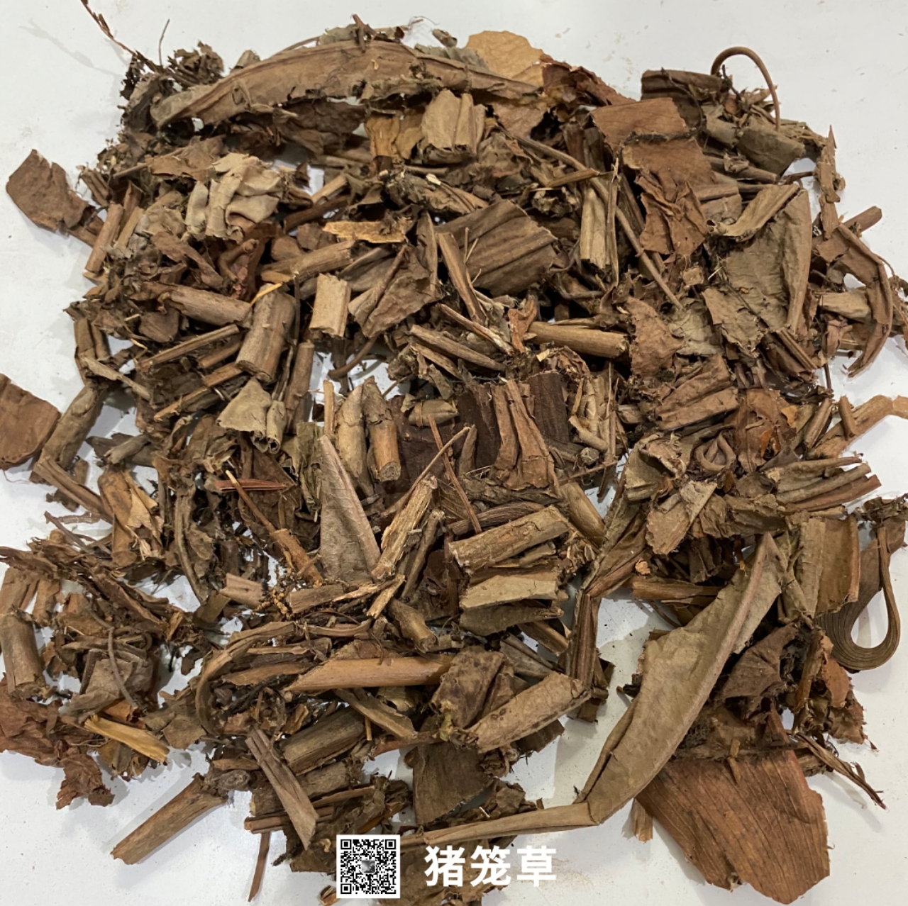 猪笼草-价格-哪里买得到【亳州市奇弘堂药业有限公司】