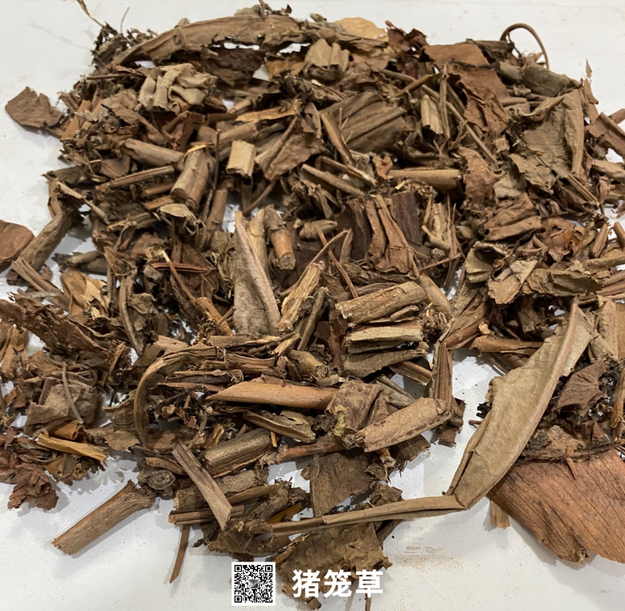 猪笼草-价格-哪里买得到【亳州市奇弘堂药业有限公司】