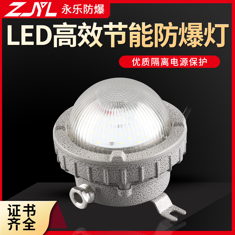 LED高效节能防爆灯 工业用途防爆灯加工车间专用LED防爆灯
