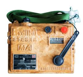 FD200L（B）煤矿用电容式联锁发爆器北京生产厂家信息；FD200L（B）煤矿用电容式联锁发爆器市场价格信息图片