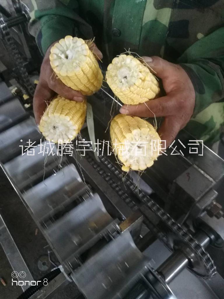 玉米切段机鲜玉米切头去尾机 速冻玉米前处理设备图片