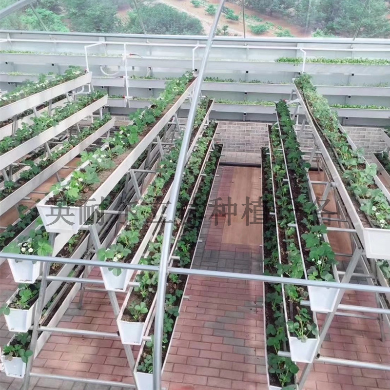 草莓立体种植槽 PVC蔬菜水培槽 英耐尔立体栽培架