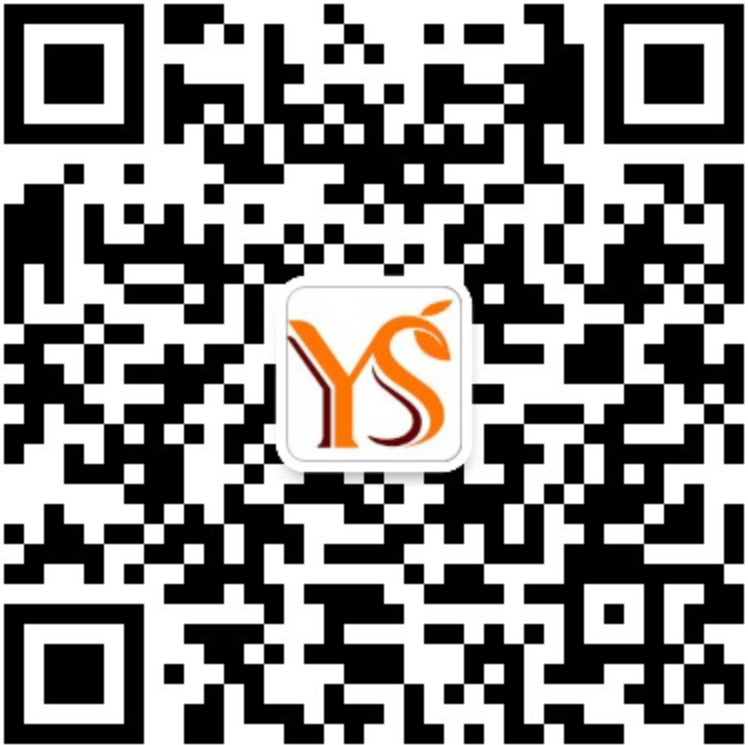 YS石榴籽精油油脂HB025垣鑫植物原料批发