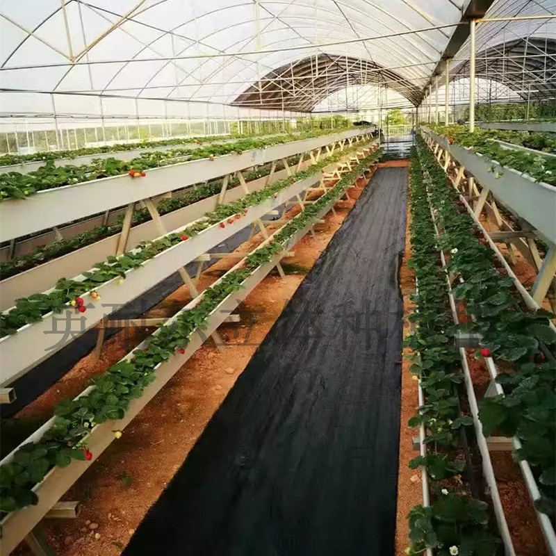 草莓立体种植槽 PVC蔬菜水培槽 英耐尔立体栽培架