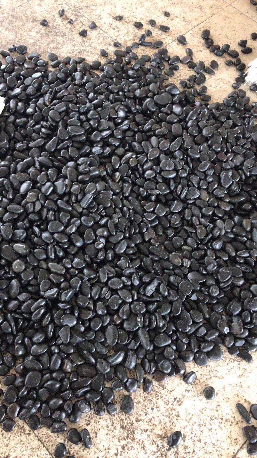江门厂家批发黑石子 黑色机制水磨鹅卵石 水洗黑石子 黑色鹅卵石