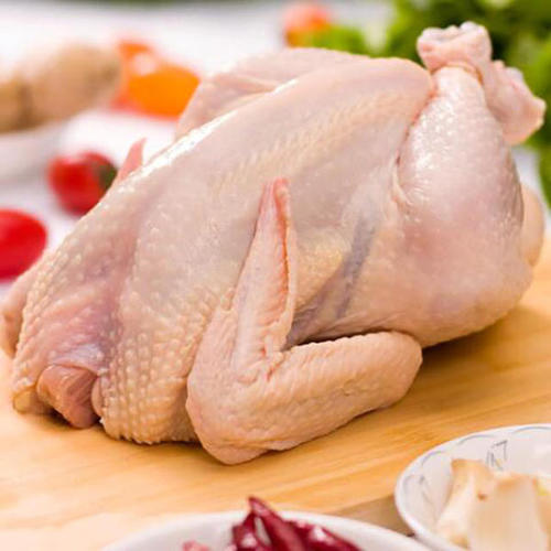 清远鸡，新鲜光鸡，肉质鲜嫩，佛山市鲜有爱食品配送有限公司