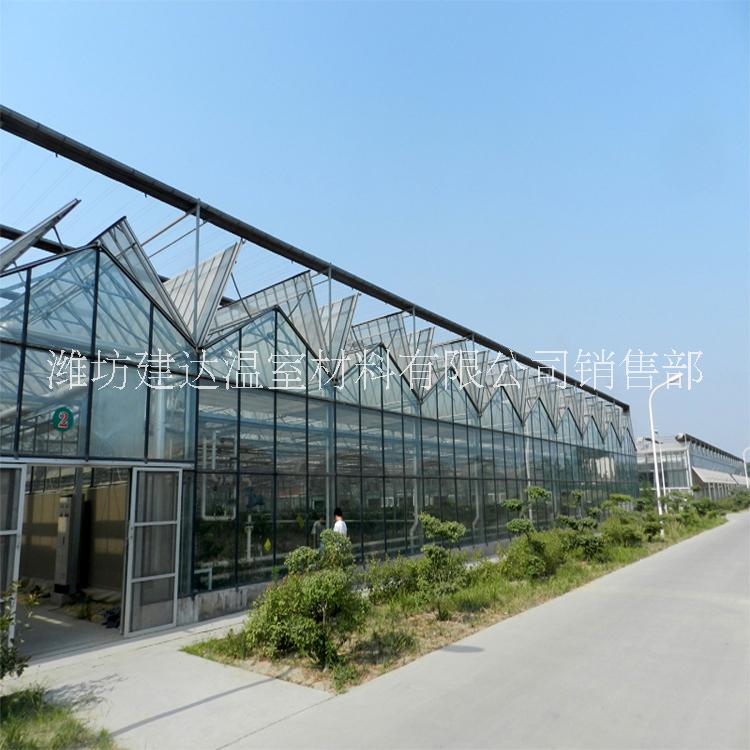 建达JD 玻璃温室大棚厂家 蔬菜玻璃大棚 热镀锌钢骨架