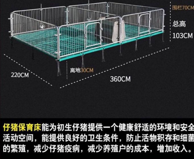 河北仔猪保育床厂家、仔猪保育床报价、沧州仔猪保育床批发商