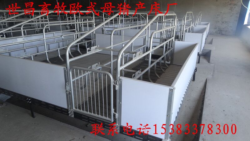 四川养猪设备双猪位母猪产床欧式产床尺寸价格